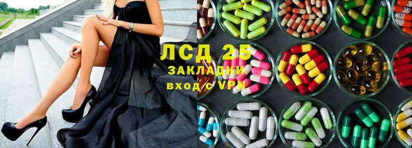 ПСИЛОЦИБИНОВЫЕ ГРИБЫ Нея