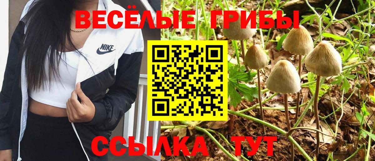 Псилоцибиновые грибы MAGIC MUSHROOMS  Галлюциногенные грибы мицелий  Усолье-Сибирское  купить наркотики сайты  Вход с VPN 